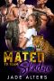 [Fated Shifter Mates 01] • Mated to Team Shadow